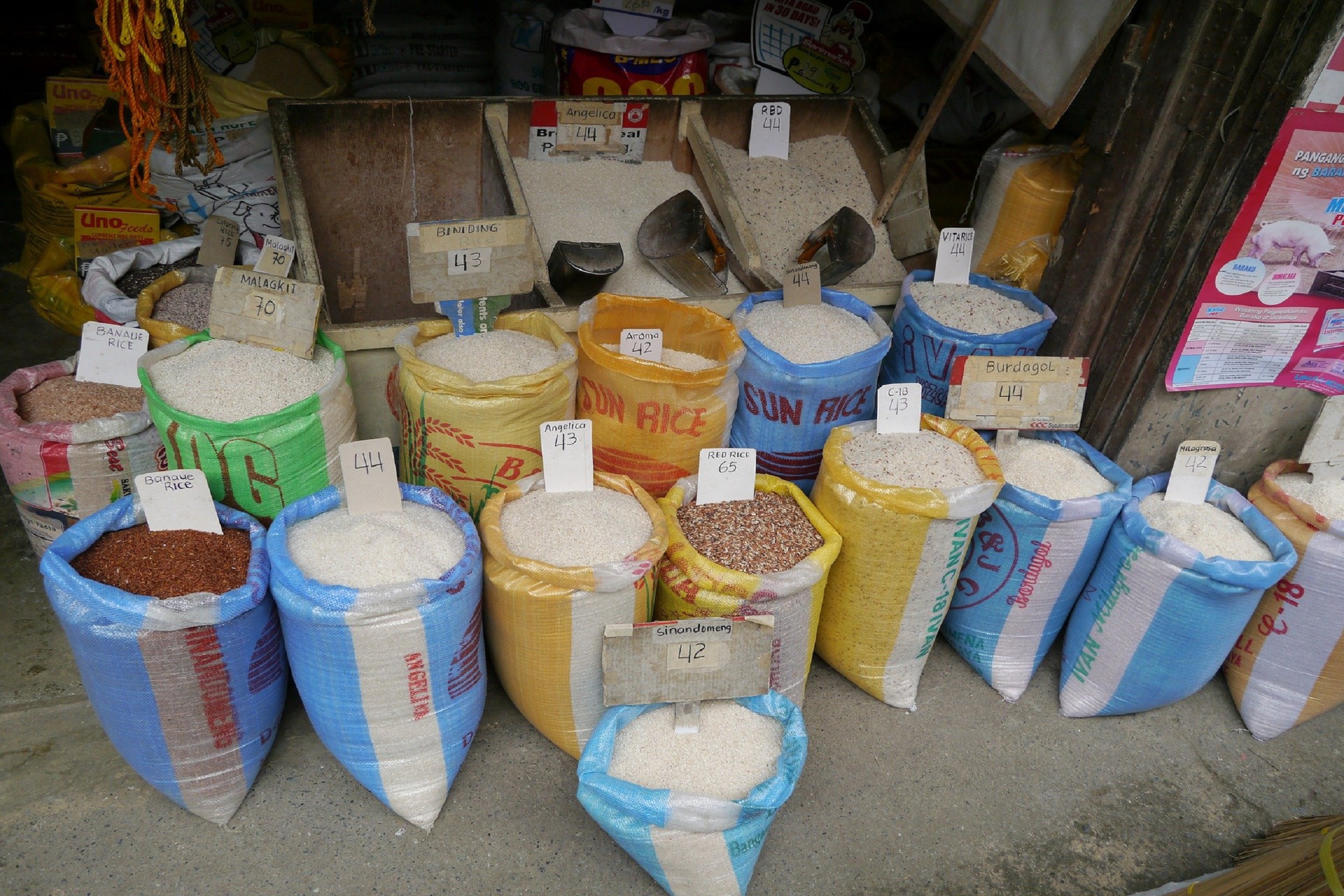 Home - Deshbandhu Packaging Ltd